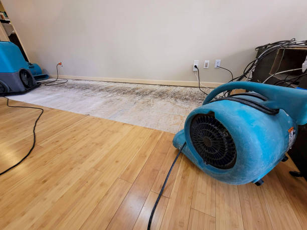 Professional Flood Damage Cleanup technician working in Red Bank, SC